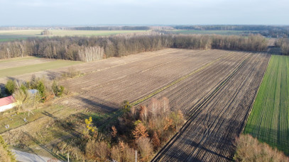 Działka Sprzedaż Jabłonów