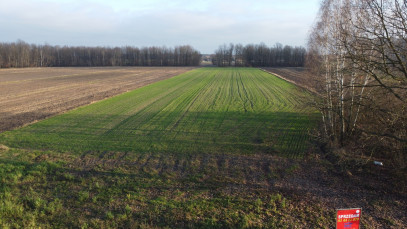 Działka Sprzedaż Jabłonów