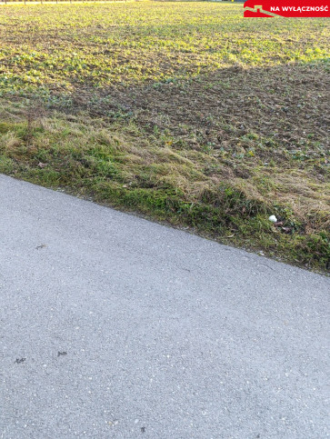 Działka Sprzedaż Zgłobice 4