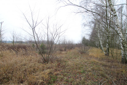 Działka Sprzedaż Skrobów-Kolonia