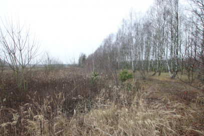 Działka Sprzedaż Skrobów-Kolonia