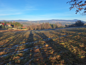 Działka Sprzedaż Wysoka
