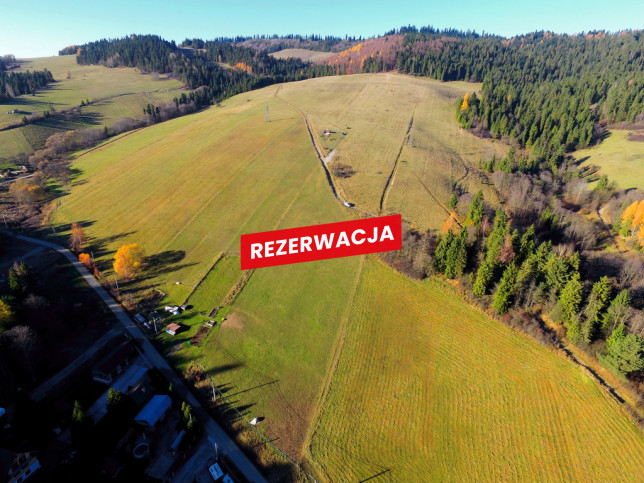 Działka Sprzedaż Łapsze Niżne Józefa Wiśmierskiego 2
