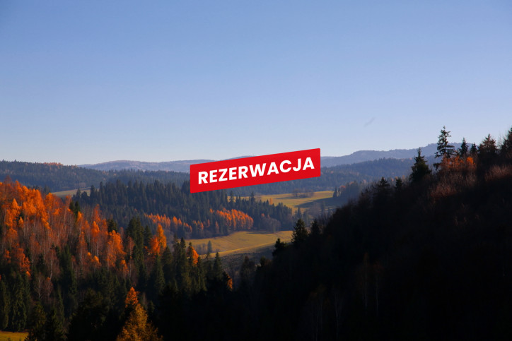 Działka Sprzedaż Łapsze Niżne Józefa Wiśmierskiego 16