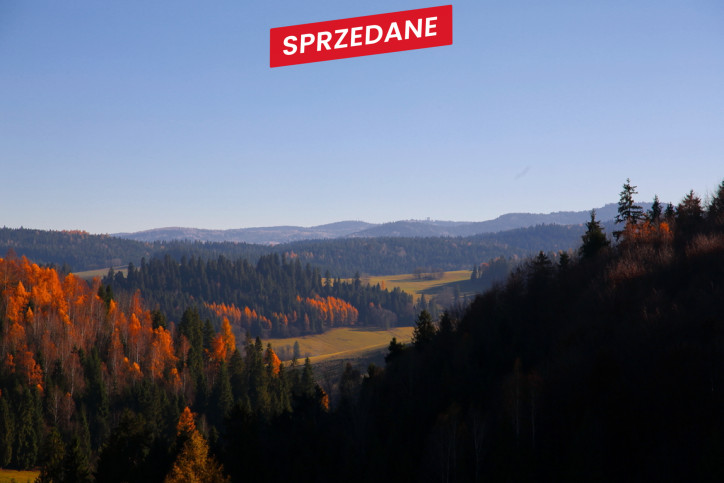 Działka Sprzedaż Łapsze Niżne Józefa Wiśmierskiego 16