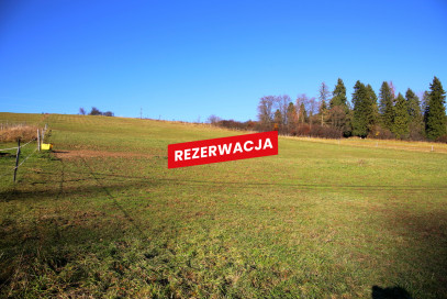 Działka Sprzedaż Łapsze Niżne Józefa Wiśmierskiego
