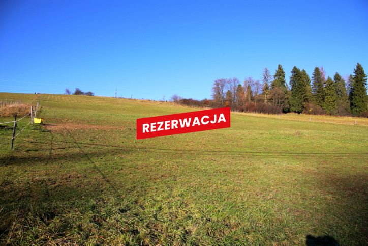 Działka Sprzedaż Łapsze Niżne Józefa Wiśmierskiego 20