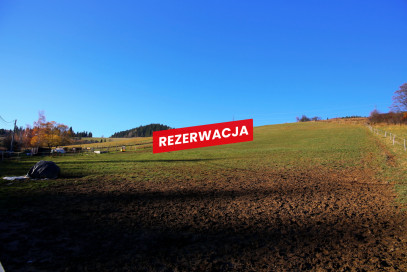 Działka Sprzedaż Łapsze Niżne Józefa Wiśmierskiego