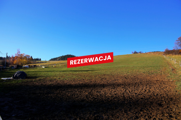 Działka Sprzedaż Łapsze Niżne Józefa Wiśmierskiego 21