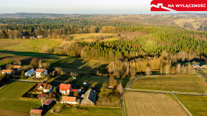 Działka Sprzedaż Tuchów Daleka