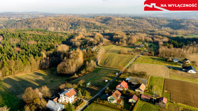 Działka Sprzedaż Tuchów Daleka
