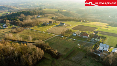 Działka Sprzedaż Tuchów Daleka