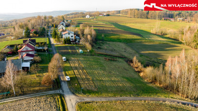 Działka Sprzedaż Tuchów Daleka