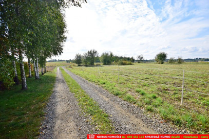 Działka Sprzedaż Motycz