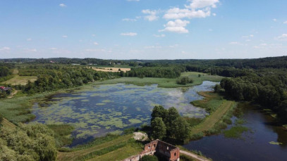 Działka Sprzedaż Celejów