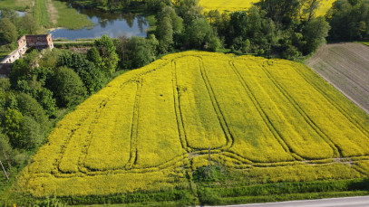 Działka Sprzedaż Celejów