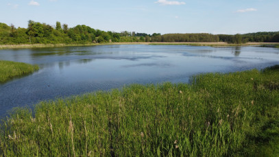 Działka Sprzedaż Celejów