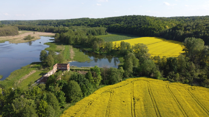 Działka Sprzedaż Celejów 42