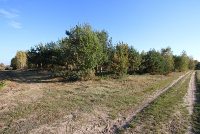 Działka Sprzedaż Kozioł