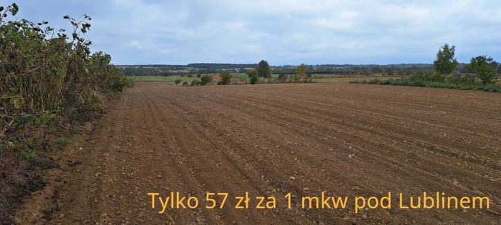 Działka Sprzedaż Panieńszczyzna 1