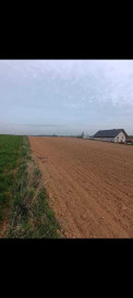 Działka Sprzedaż Panieńszczyzna