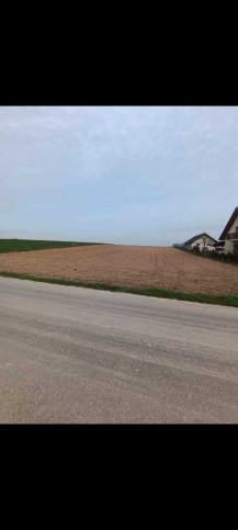 Działka Sprzedaż Panieńszczyzna 6