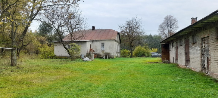 Dom Sprzedaż Trzciniec 1