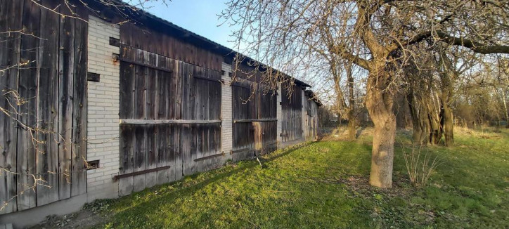 Dom Sprzedaż Trzciniec 7
