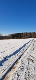 Działka Sprzedaż Żminne