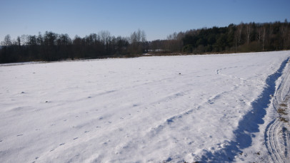 Działka Sprzedaż Żminne