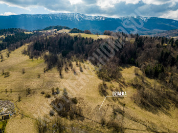 Działka Sprzedaż Zawoja