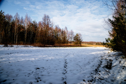 Działka Sprzedaż Smyków