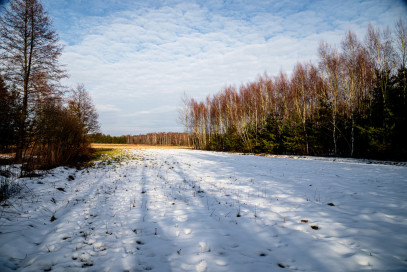 Działka Sprzedaż Smyków
