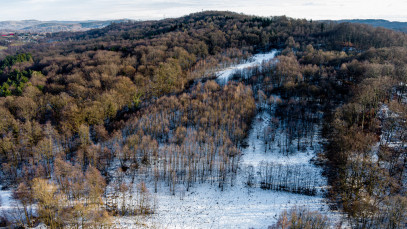 Działka Sprzedaż Grabno