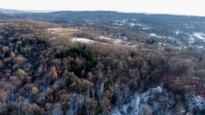 Działka Sprzedaż Grabno