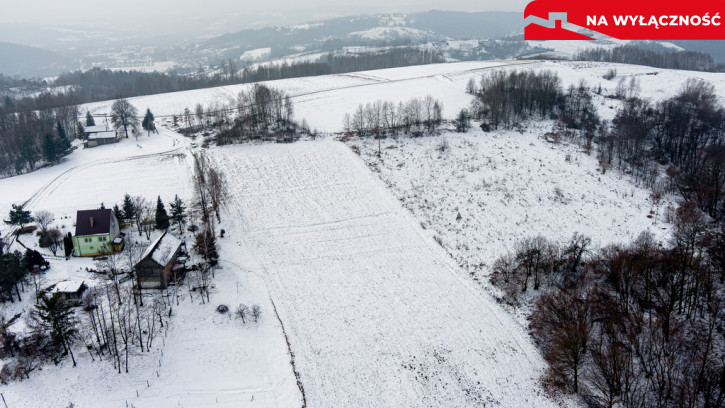 Działka Sprzedaż Siedliska 4