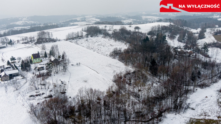 Działka Sprzedaż Siedliska 6