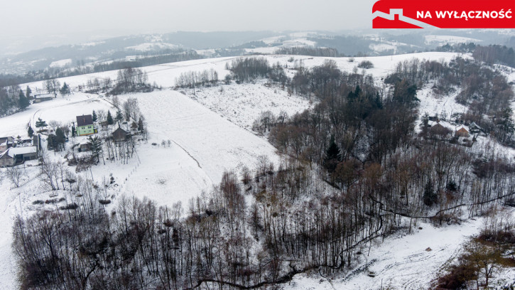 Działka Sprzedaż Siedliska 7