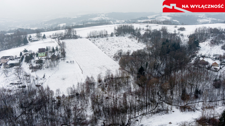 Działka Sprzedaż Siedliska 8