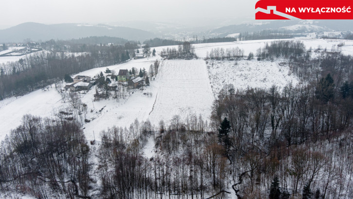 Działka Sprzedaż Siedliska 9