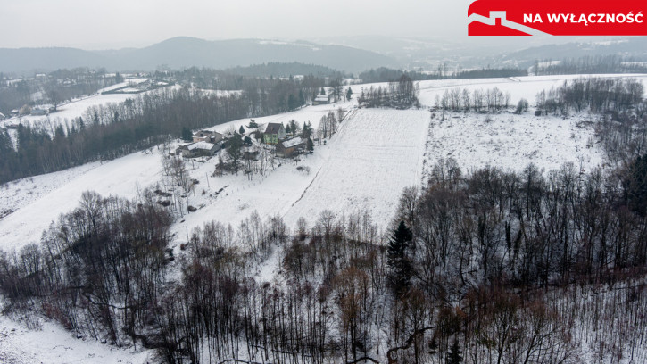 Działka Sprzedaż Siedliska 10