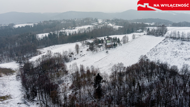 Działka Sprzedaż Siedliska 11