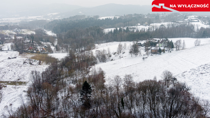 Działka Sprzedaż Siedliska 13