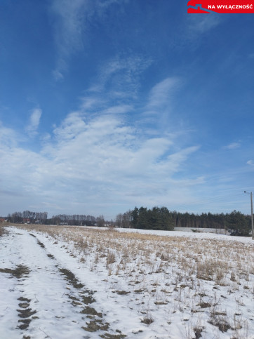 Działka Sprzedaż Gruszów Mały 2