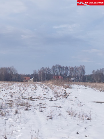 Działka Sprzedaż Gruszów Mały 3