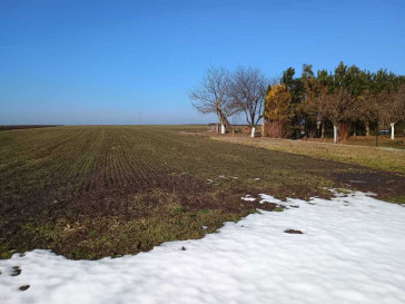Działka Sprzedaż Radymno