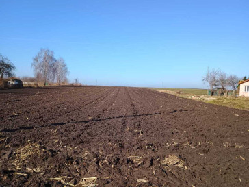Działka Sprzedaż Radymno