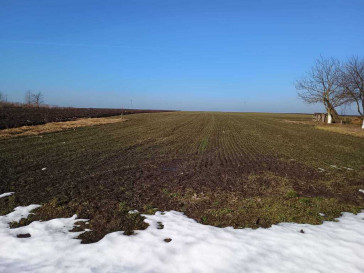 Działka Sprzedaż Radymno