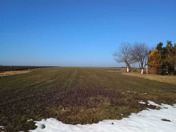 Działka Sprzedaż Radymno
