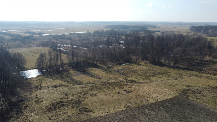 Działka Sprzedaż Żminne 10
